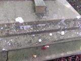 image of grave number 171073